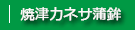 焼津カネサの蒲鉾